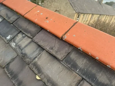 Roof shingle replacement in Cheshire